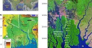 সুন্দরবনের নোনা পানির নীচে মিললো মিঠা পানির সন্ধান